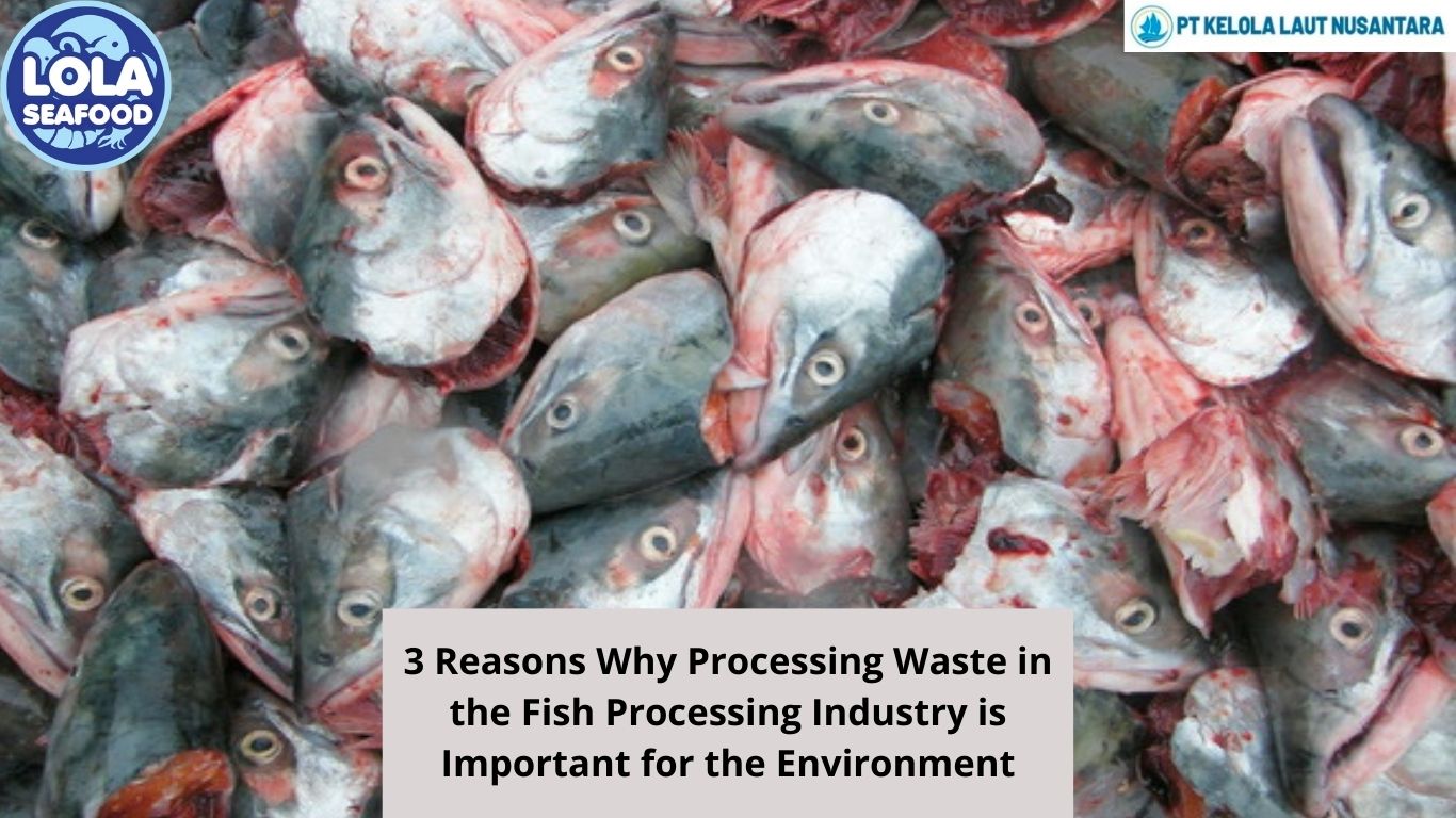 3 Reasons Why Processing Waste in the Fish Processing Industry is Important for the Environment